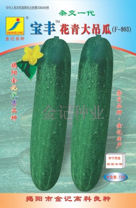 供应黄瓜种子：宝丰花青大吊瓜903